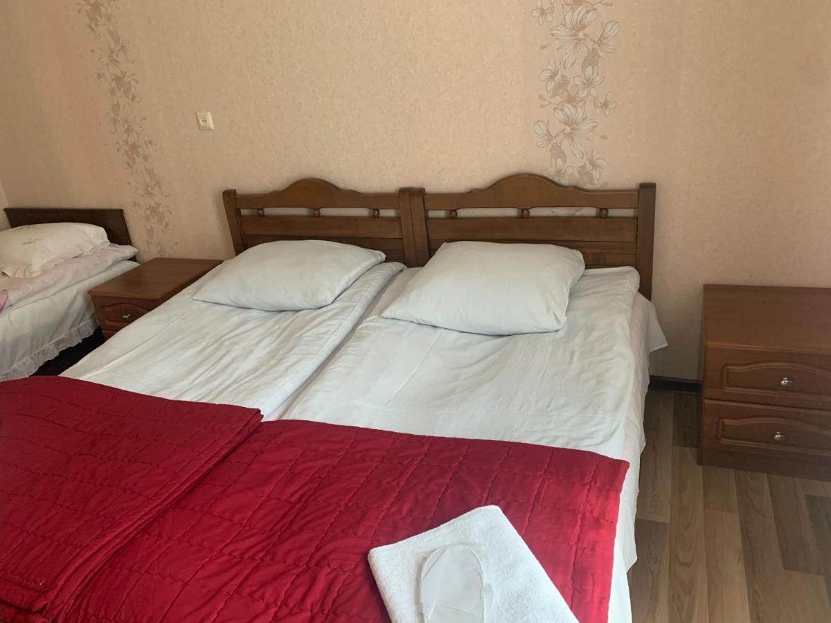 Hotel Panorama Kazbegi Zewnętrze zdjęcie