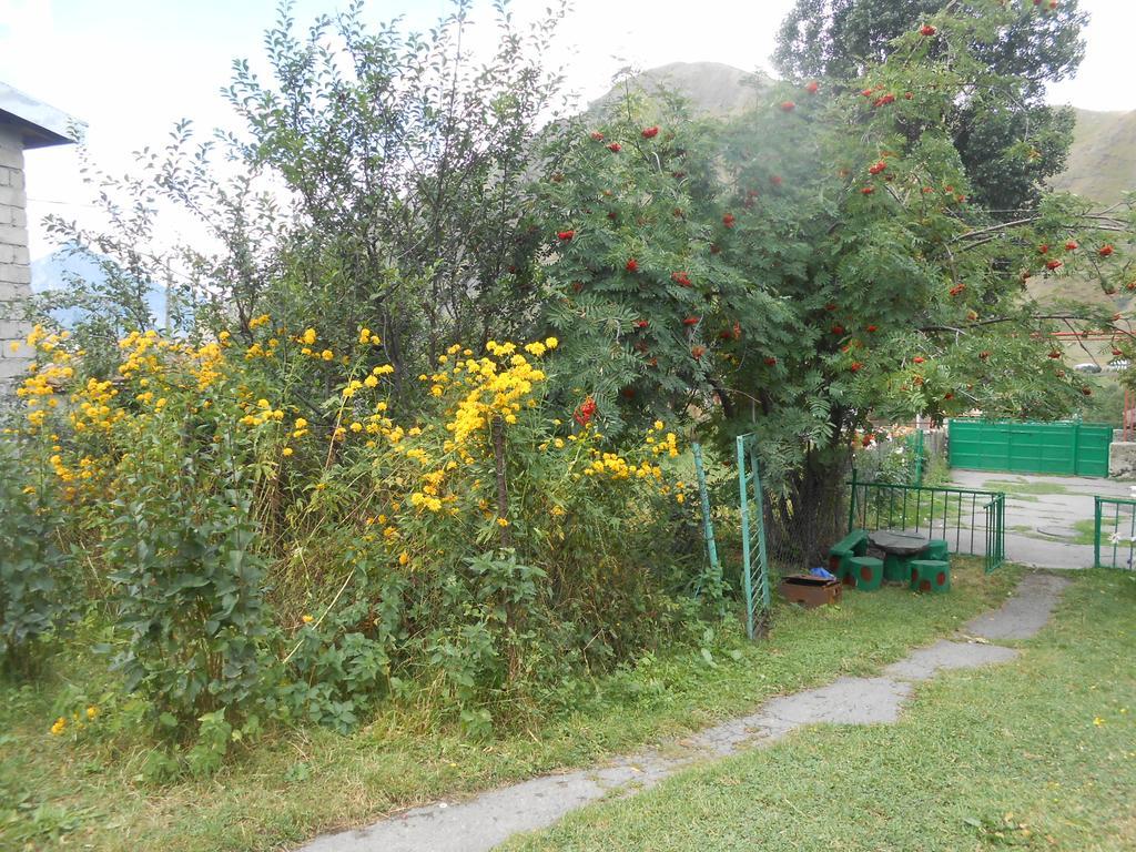 Hotel Panorama Kazbegi Zewnętrze zdjęcie
