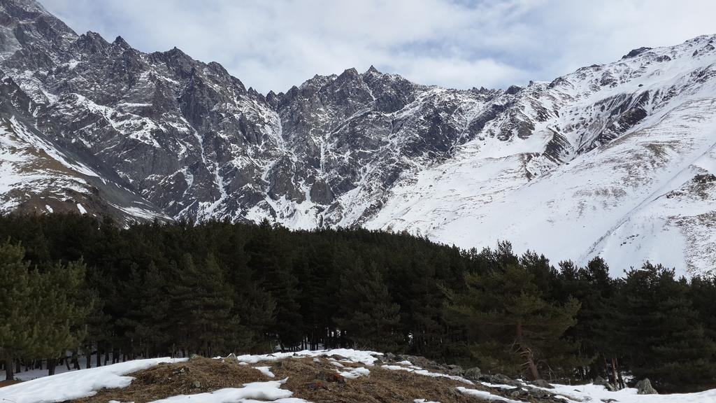 Hotel Panorama Kazbegi Zewnętrze zdjęcie